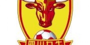 【龙八国际】记者：龙泉足球场所属权复杂，九牛中超主场放双流体育中心更现实