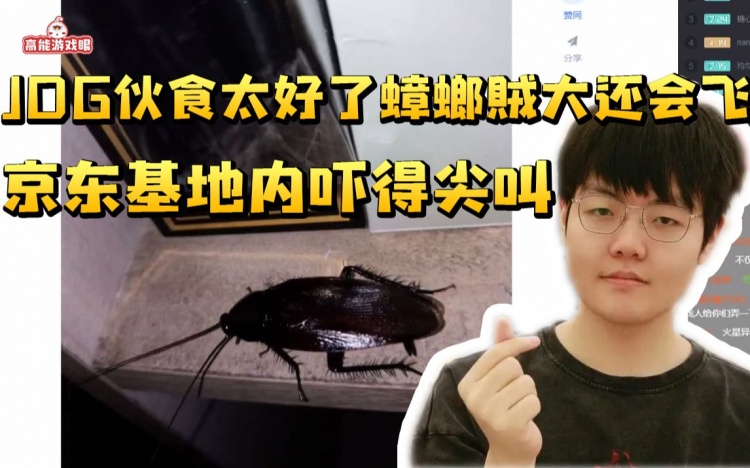 伙食太好引蟑螂!JDG队员被吓尖叫:把这个蟑螂抓住我才能打排位