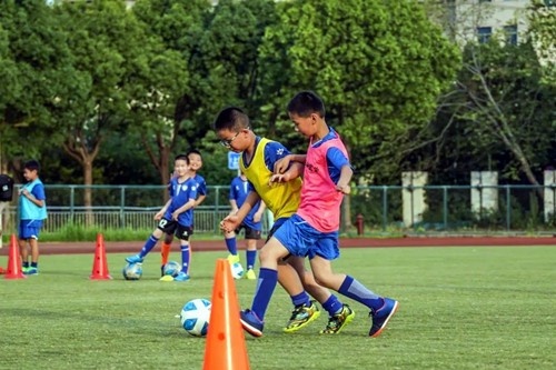 申花青训总监:俱乐部共9支梯队,每队年支出300万&总计投入数亿