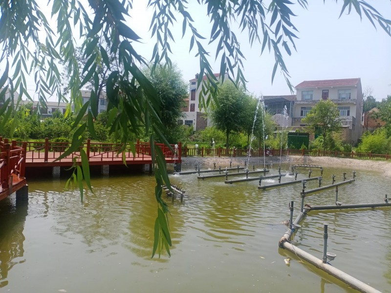前夫重病住院,被新欢抛弃了,由谁来侍候?需要换肾,谁为之捐肾?