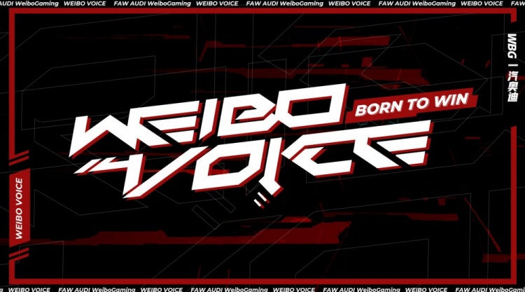 【WEIBO VOICE】2022LPL夏季赛常规赛篇 —— 喂喂喂·下
