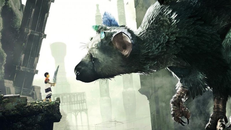 时隔6年的新作?《食人巨鹰TRICO》开发商表示今年有消息可以分享!