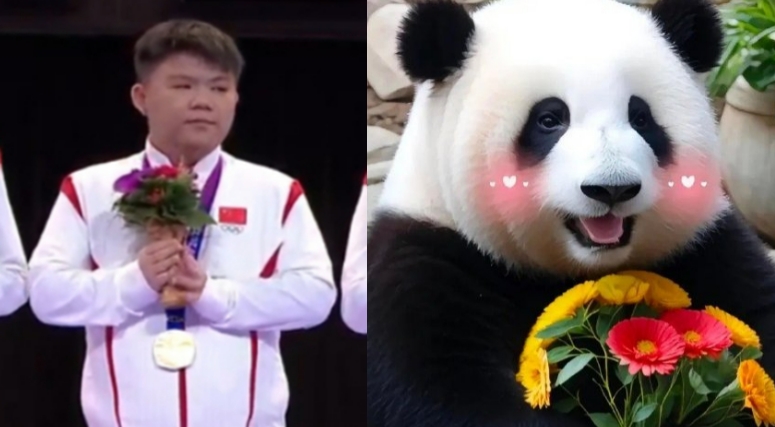 网友分享xinq摘金时刻趣图:怎么越看越像大熊猫?