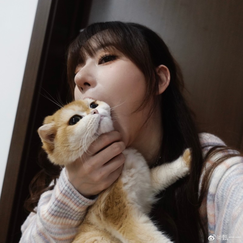 永劫无间解说甄一一晒照:猫猫头!味道不错 下次还吃