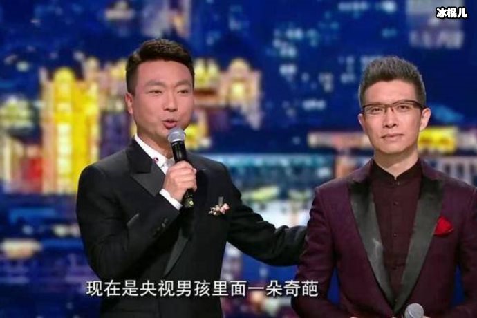 撒贝宁从央视名嘴到“芳心纵火犯”,新身份引关注曾欺骗观众?