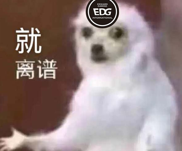还在排列组合呢?EDG六套阵容全部失利,仅Ale带队赢过一场