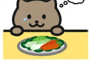 毛毛更博:胖猫的事看的我过于心疼了 看完心里都堵堵的