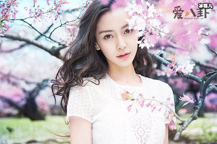 baby为什么叫天宝?起底angelababy天宝称呼的由来