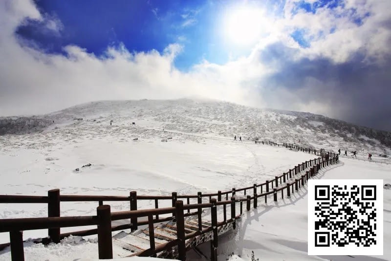 【EV扑克】素白绒雪铺满济州,SUPER CUP掀起新年热潮!开幕赛200人次26人晋级!一起见证冠军产生!【SUPER CUP济州】