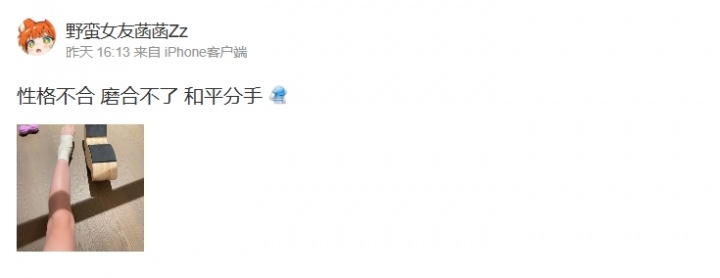 刀区CP小菡菡九朵和平分手:性格不合!我长的像少妇又不是我的错