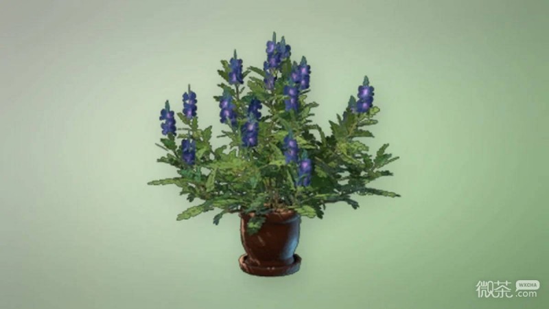 雾锁王国靛蓝植物获取攻略 雾锁王国靛蓝植物获取怎么获得